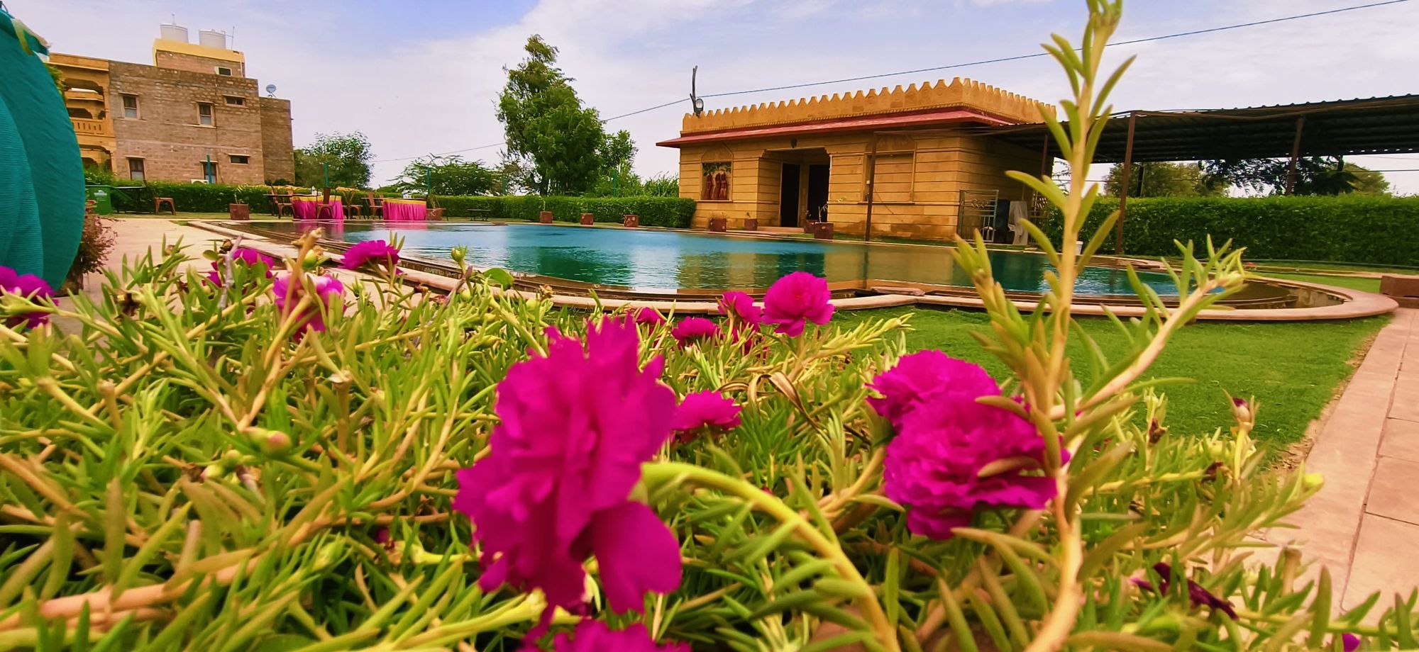 Flowering beds along the garden edge of the pool